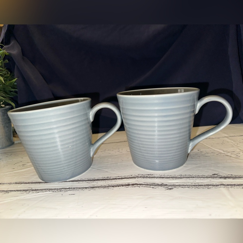 Elegant Gray Ceramic Mugs Royal Doulton Maze set -2 New
